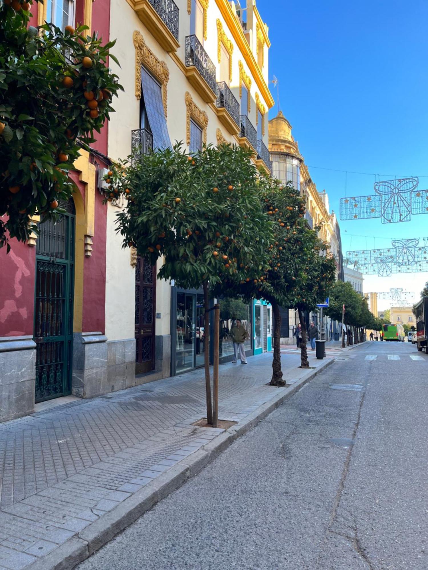 Centro- Apartamento Azonaicas Córdoba Exterior foto